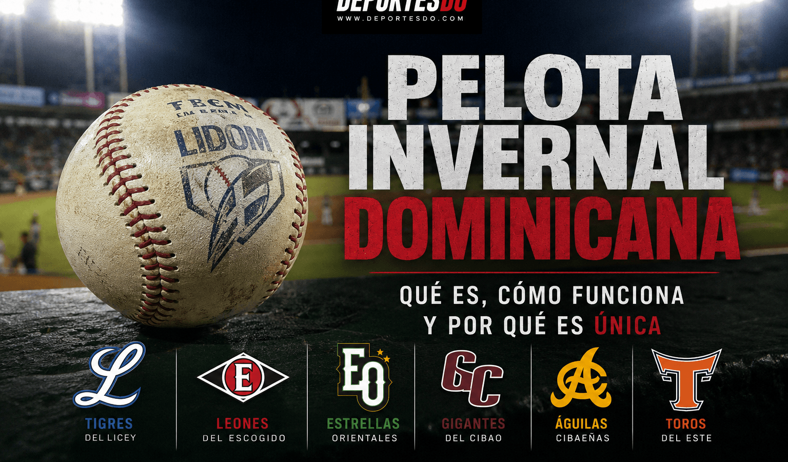 Pelota invernal dominicana: qué es, cómo funciona y por qué es única