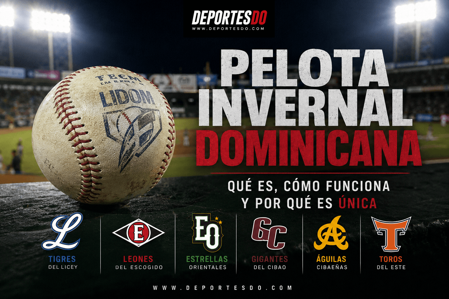 Pelota invernal dominicana: qué es, cómo funciona y por qué es única