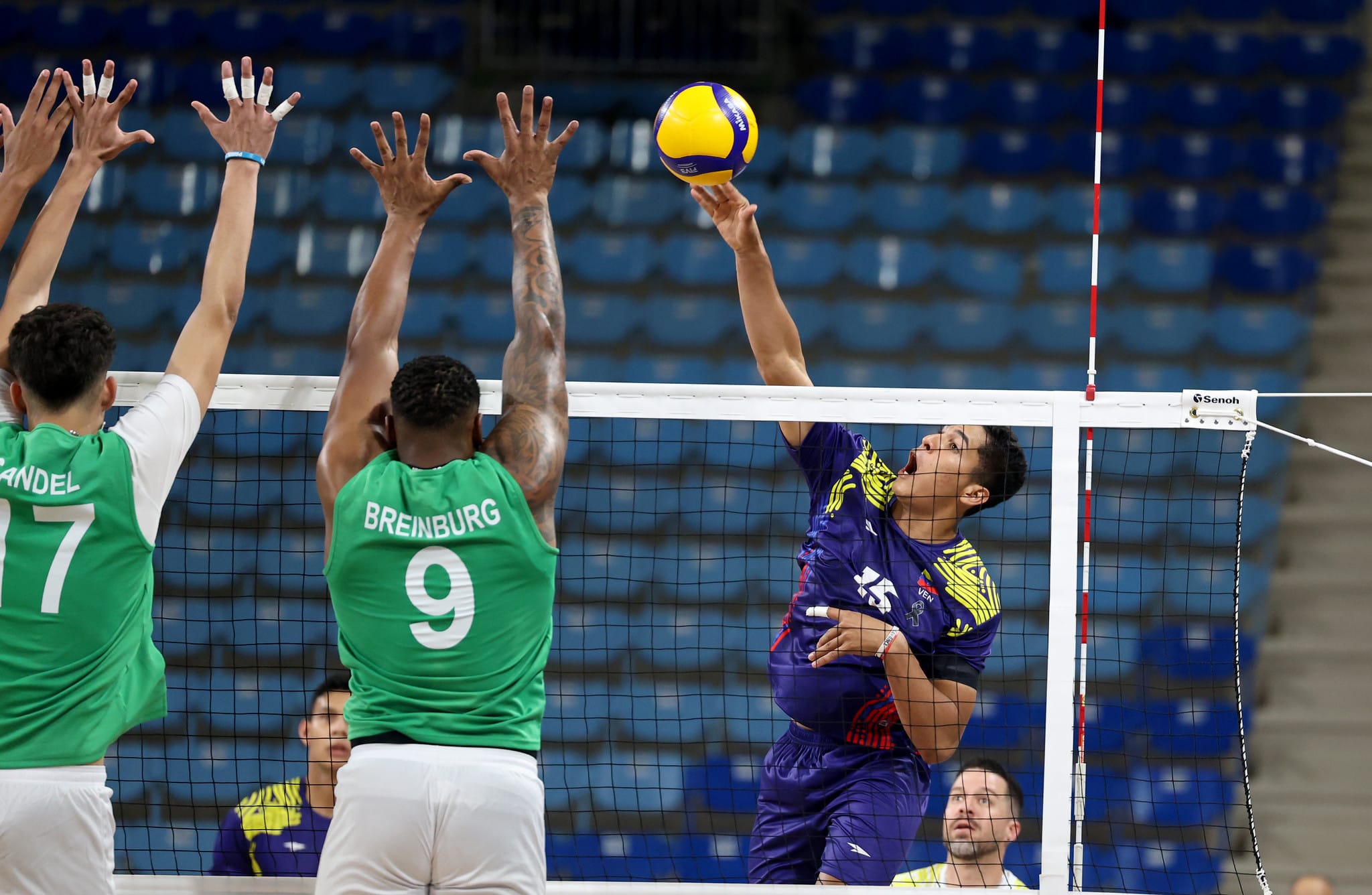 quinto lugar voleibol