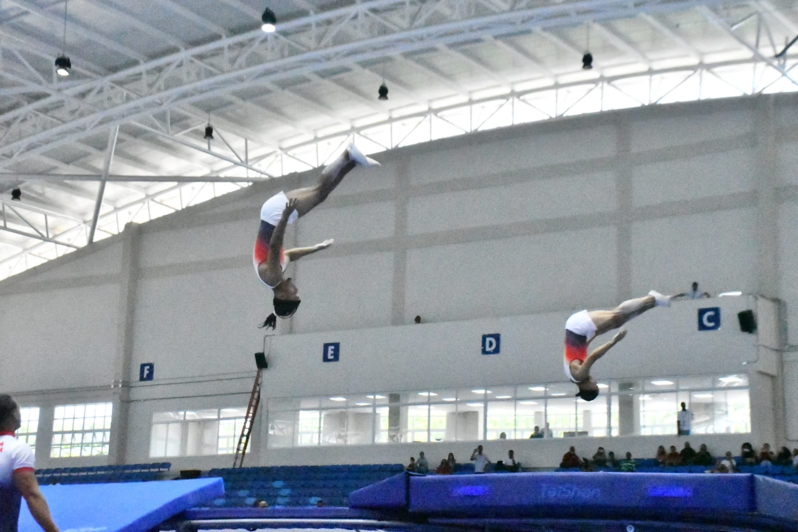 bronce para gimnasia dominicana