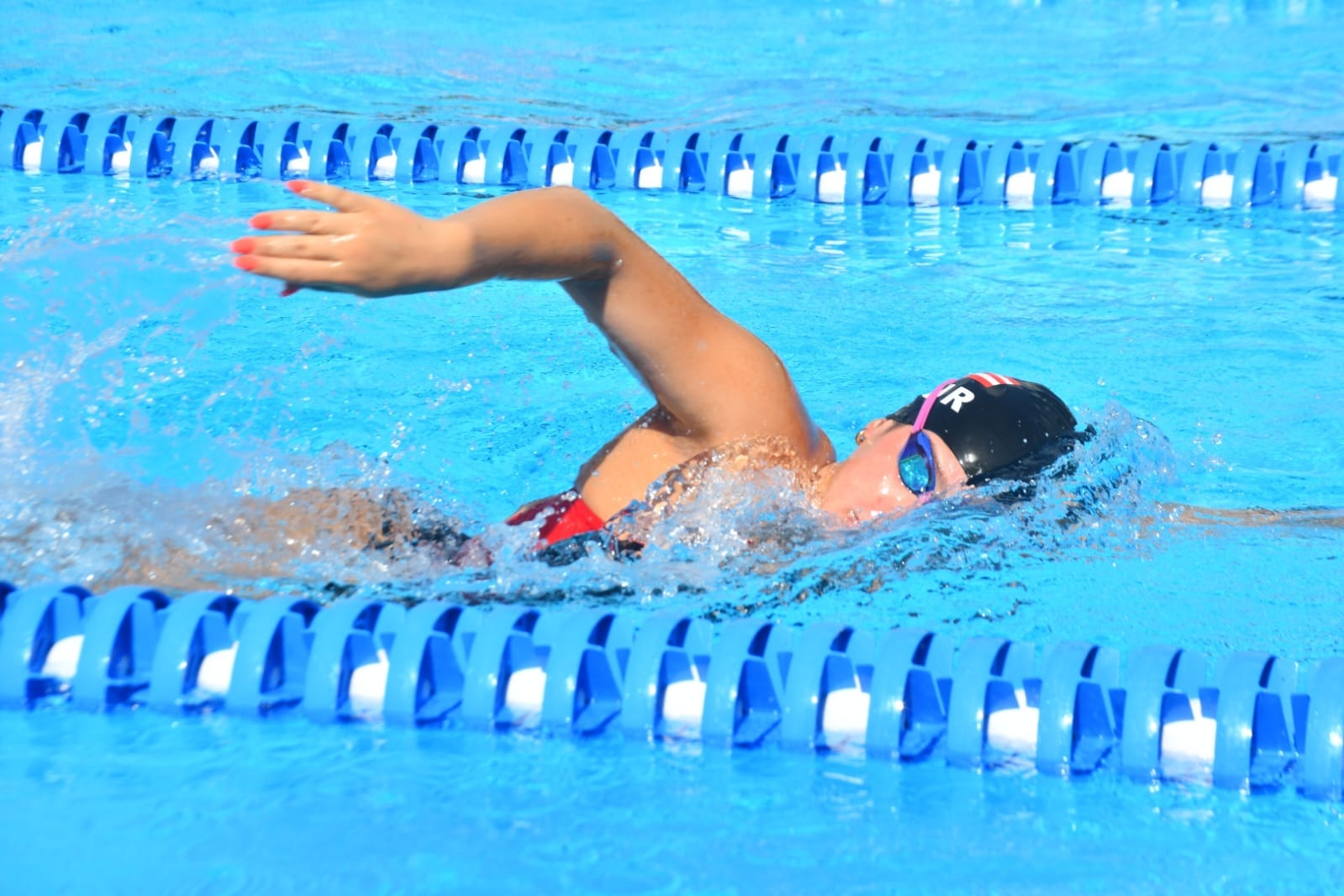 natacion y clavados