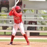 dominican summer league