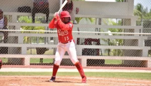 dominican summer league