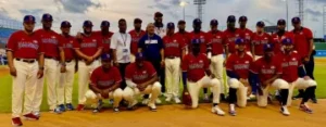fedobe copa america beisbol