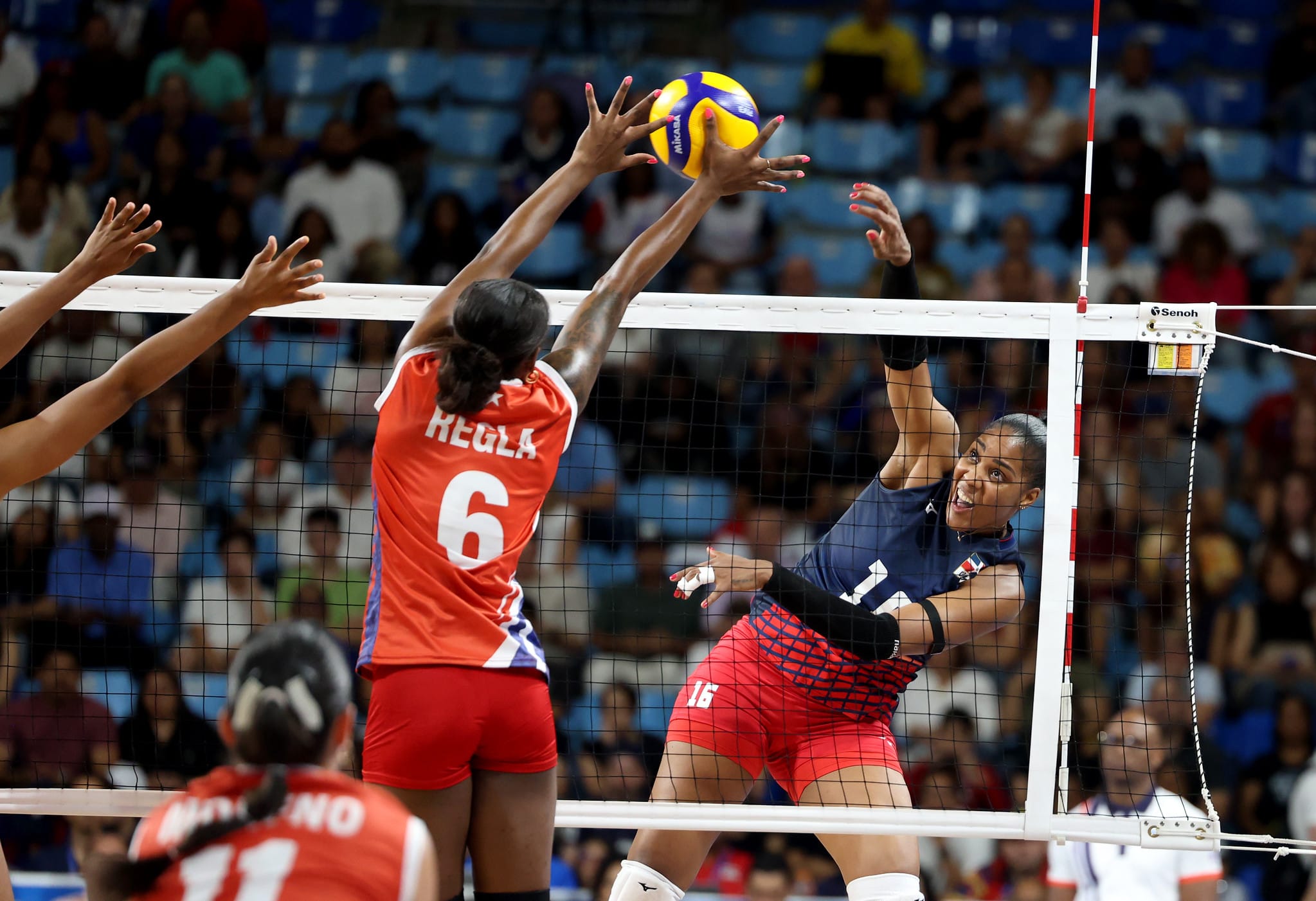 voleibol femenino de rd