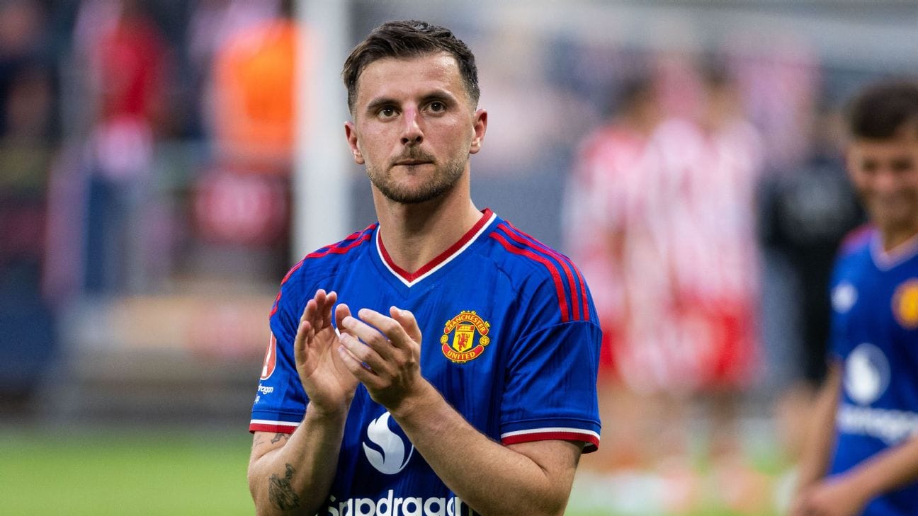 mason mount lesion