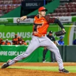 toros del este importados