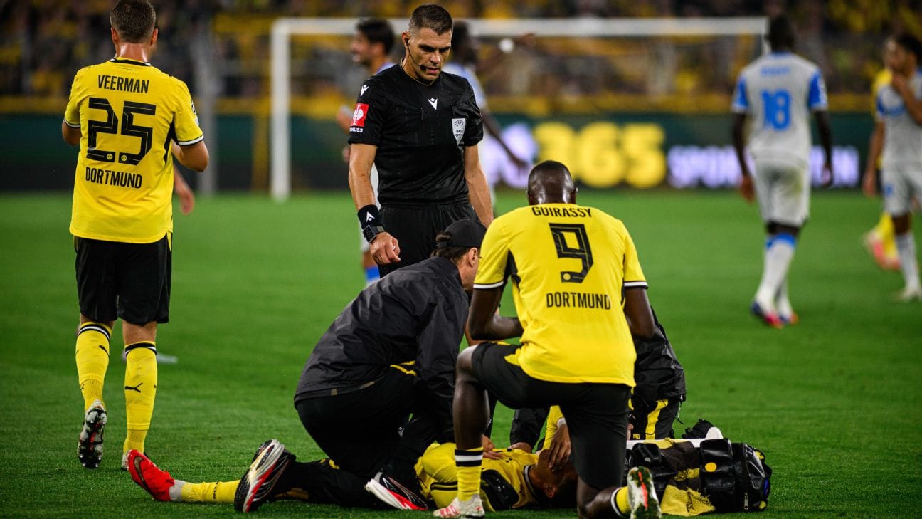 karetsas borussia dortmund