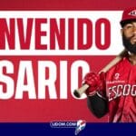 Amed Rosario Escogido