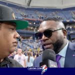 David Ortiz Tropicana Field